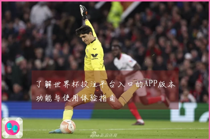 了解世界杯投注平台入口的APP版本功能与使用体验指南
