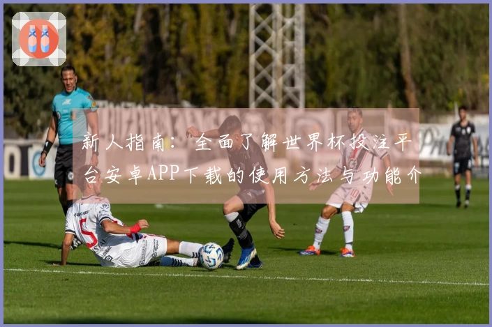新人指南：全面了解世界杯投注平台安卓APP下载的使用方法与功能介绍