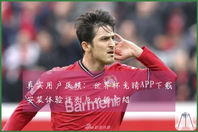 真实用户反馈：世界杯竞猜APP下载安装体验评测与功能介绍